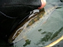 2007-05-01 025.JPG